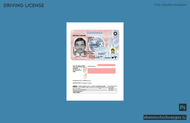 USA Tennessee Führerschein Beispielvorschau 2024-heute